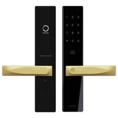Orvibo luxusní WIFI chytrý dveřní zámek S2