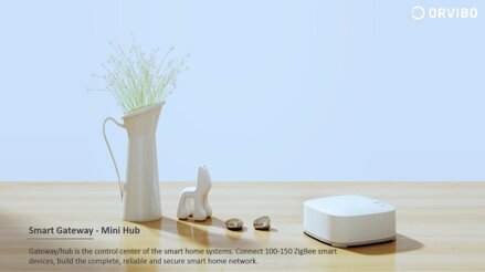 Orvibo Zigbee Minihub VS20ZW