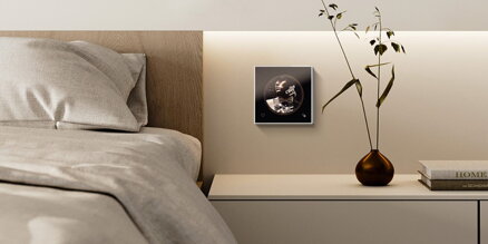 Orvibo MixPad C2 Smart Panel Bílý, připojení L&N